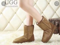 UGG 經典馬毛靴(清貨價$299）
