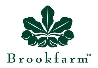logo101.jpg